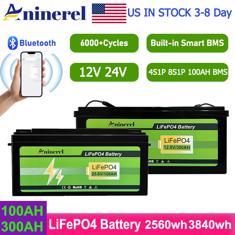 Lithium Battery 100Ah - Batería de Litio LiFePO4 Aninerel de
