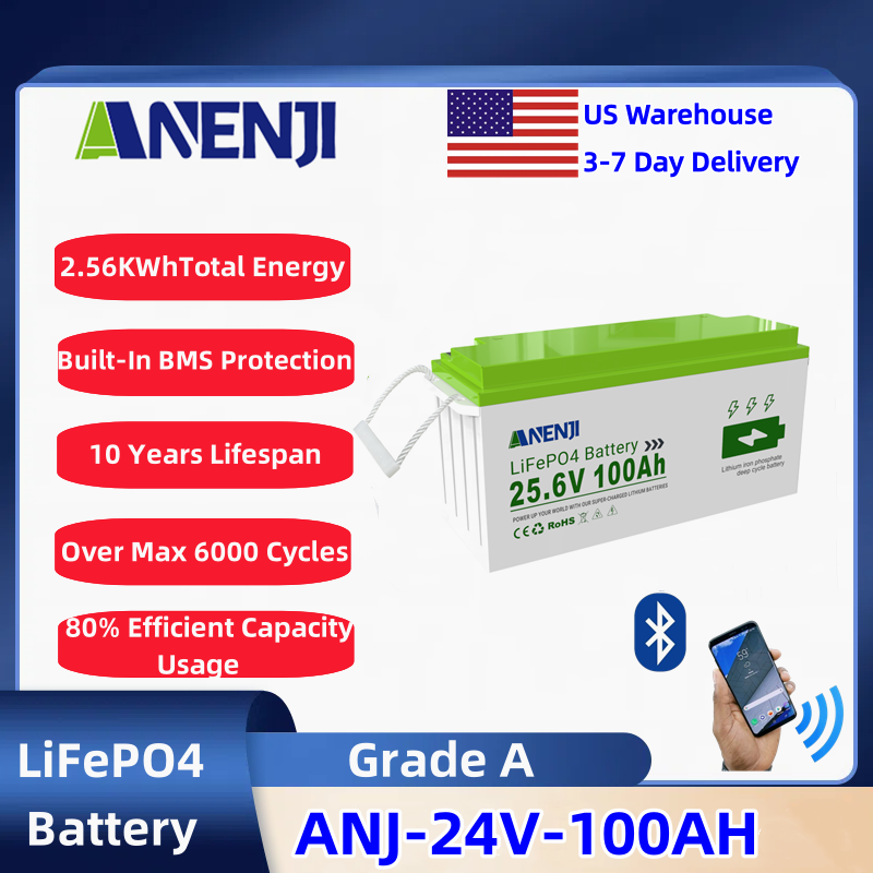 Lithium Battery 100Ah - Paquetes de Baterías LiFePO4 ANENJI 100AH