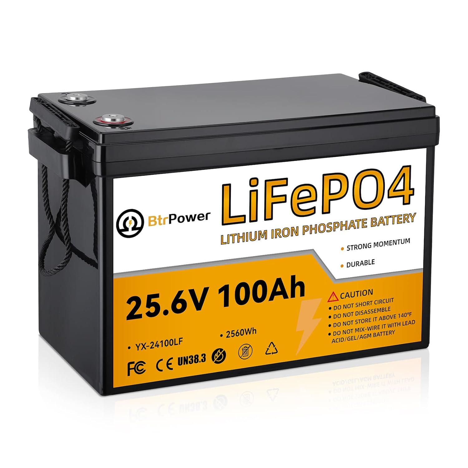 Lithium Battery 100Ah - Batería de Litio LiFePO4 de 24V