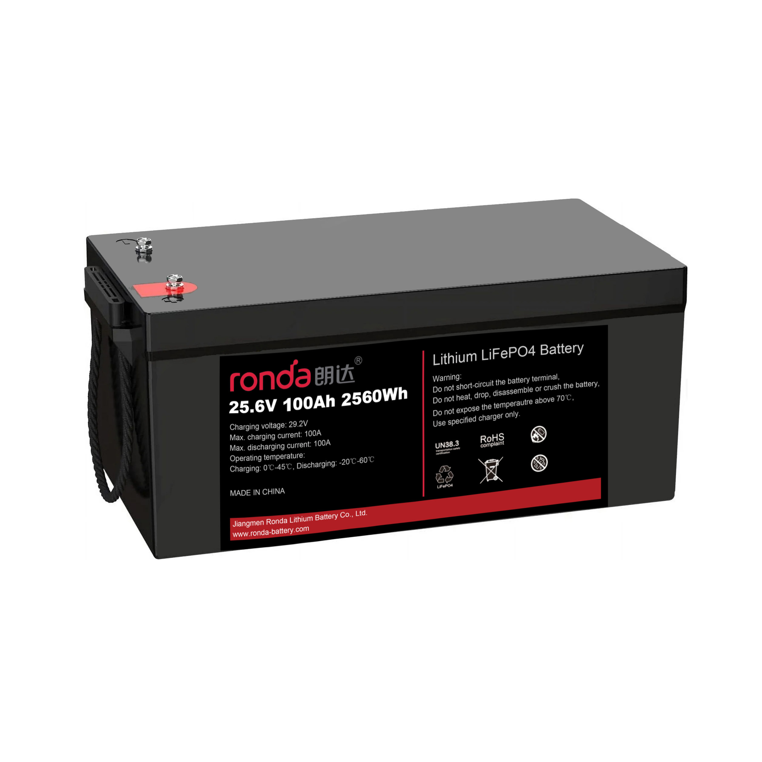 Lithium Battery 100Ah - Caja prismática del paquete BMS LiFePO4