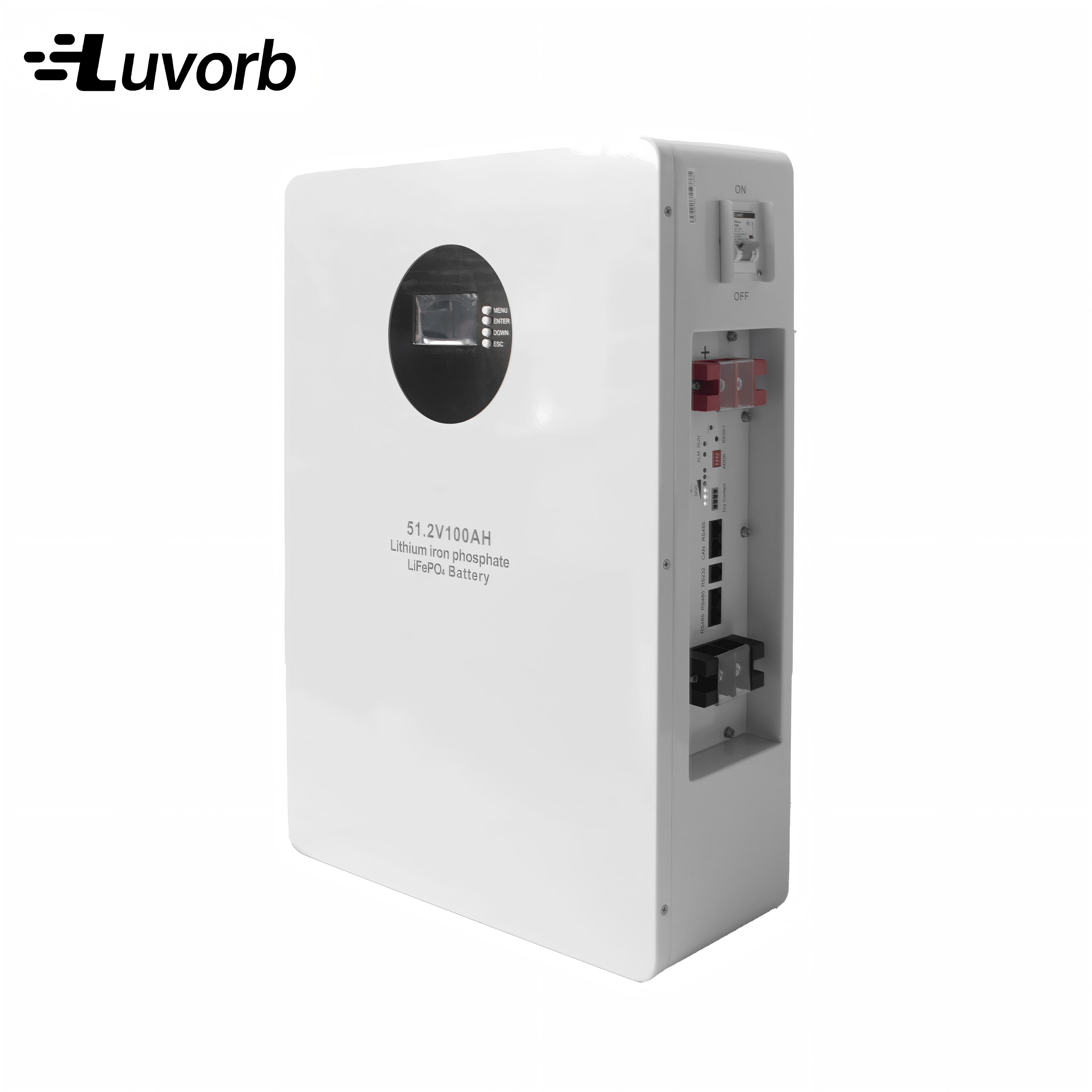 Batería inversora LiFePo4 EMS  - Lithium Battery 100Ah reseña y precio