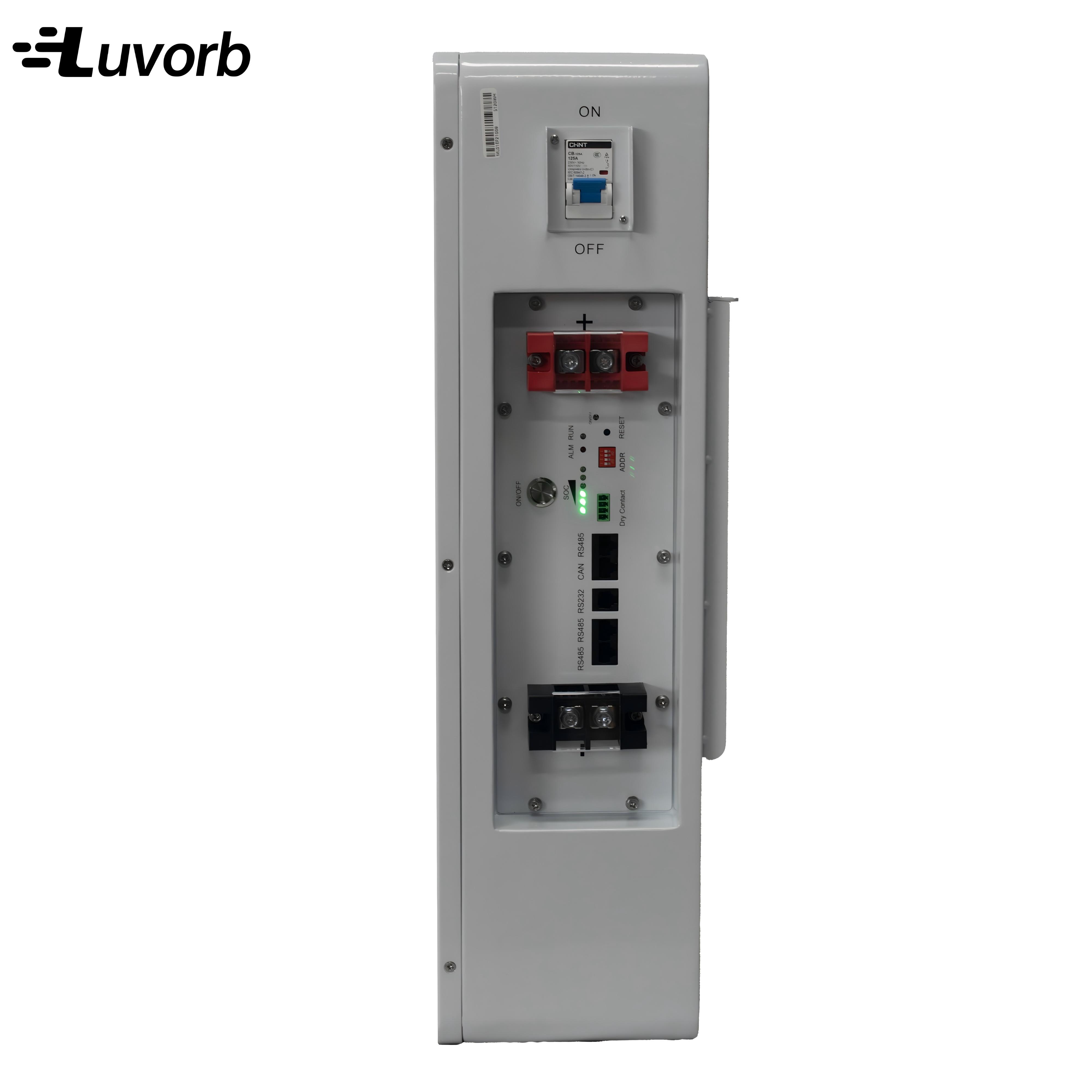 Batería inversora LiFePo4 EMS  - Lithium Battery 100Ah reseña y precio