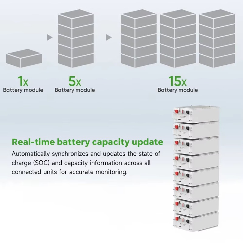 Batería de Iones de Litio Life - Lithium Battery 100Ah reseña y precio